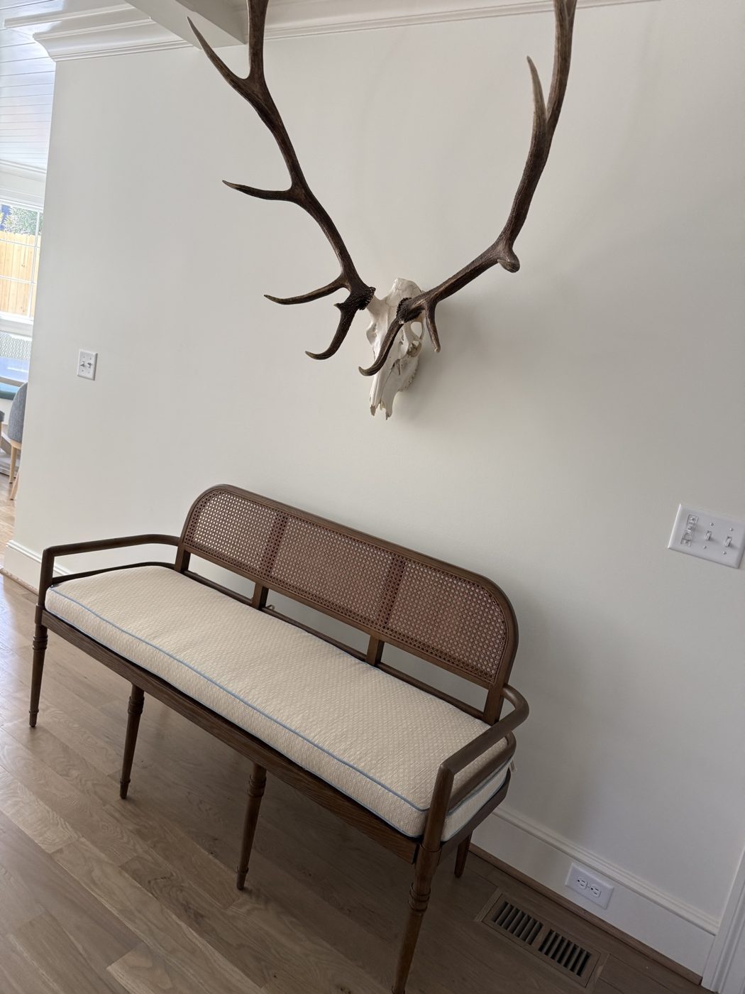 Cane bench under elk mount